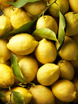 Zitronen aus Sorrent
